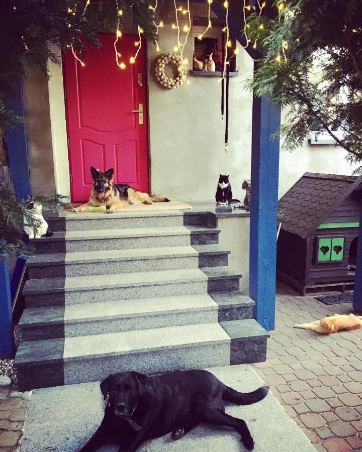 Cat Stone Villa ปิช ภายนอก รูปภาพ